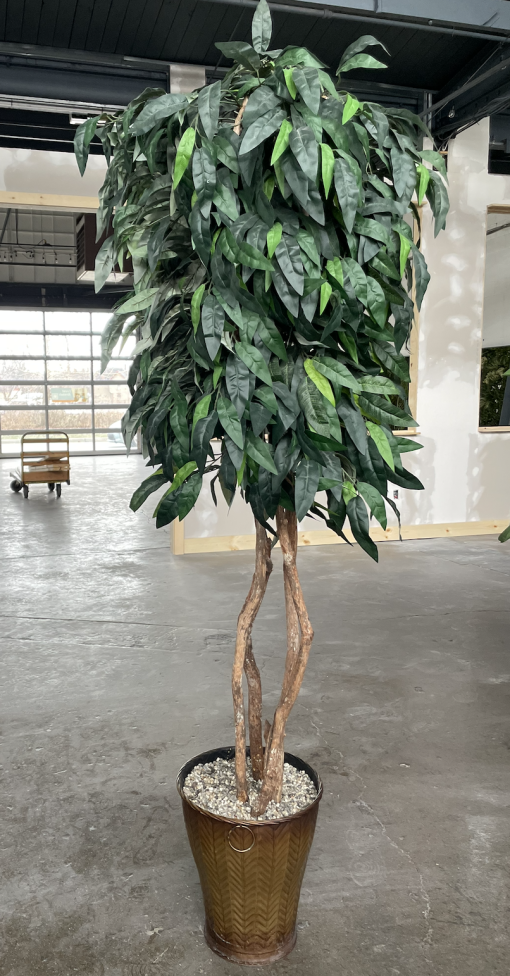 Faux Mango tree in a neutral pot